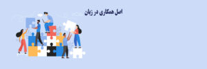 اصل همکاری